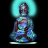 Floating Buddha © 2011